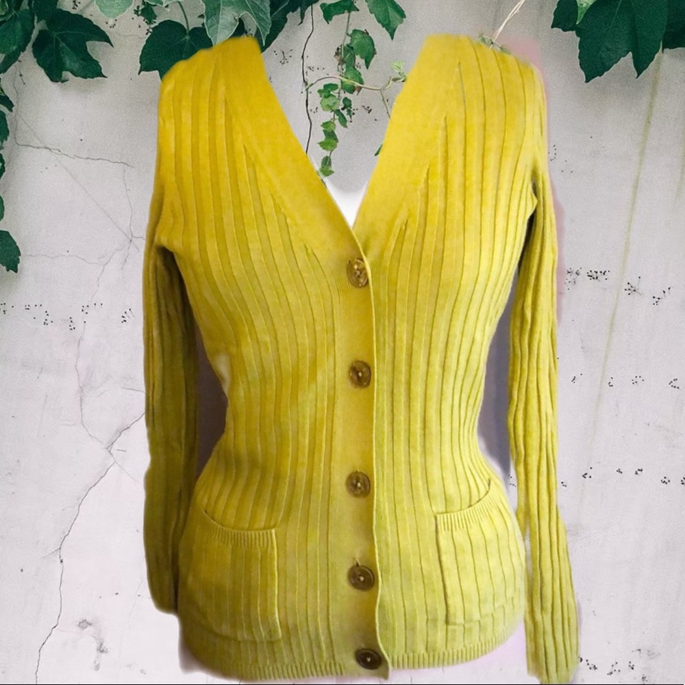 Light Green Talbots V Neck Cardigan Sweater Small